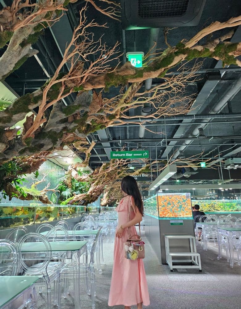 디올 레이디백 컬러별 모음과 델보 브리앙 미니 화이트