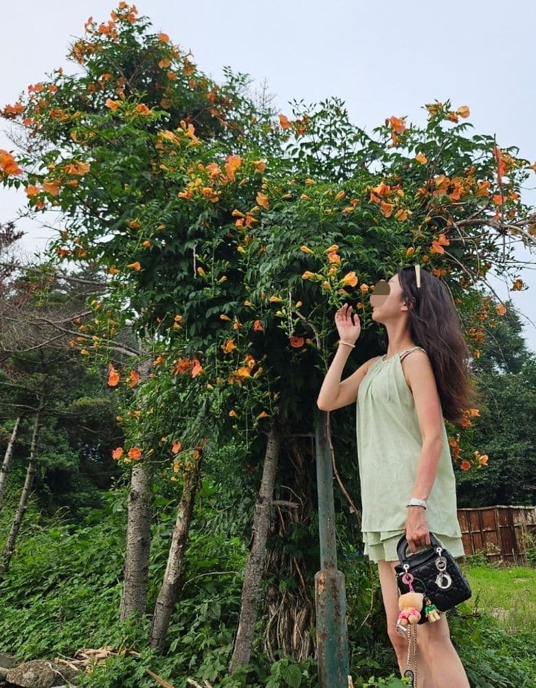 디올 레이디백 컬러별 모음과 델보 브리앙 미니 화이트