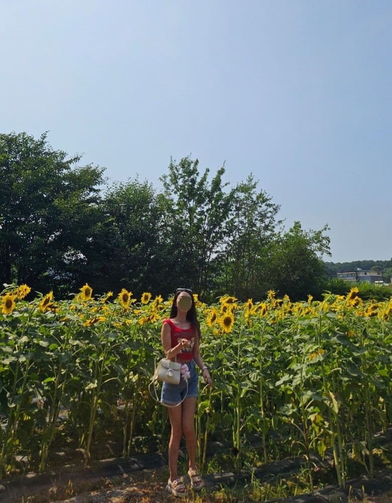 디올 레이디백 컬러별 모음과 델보 브리앙 미니 화이트