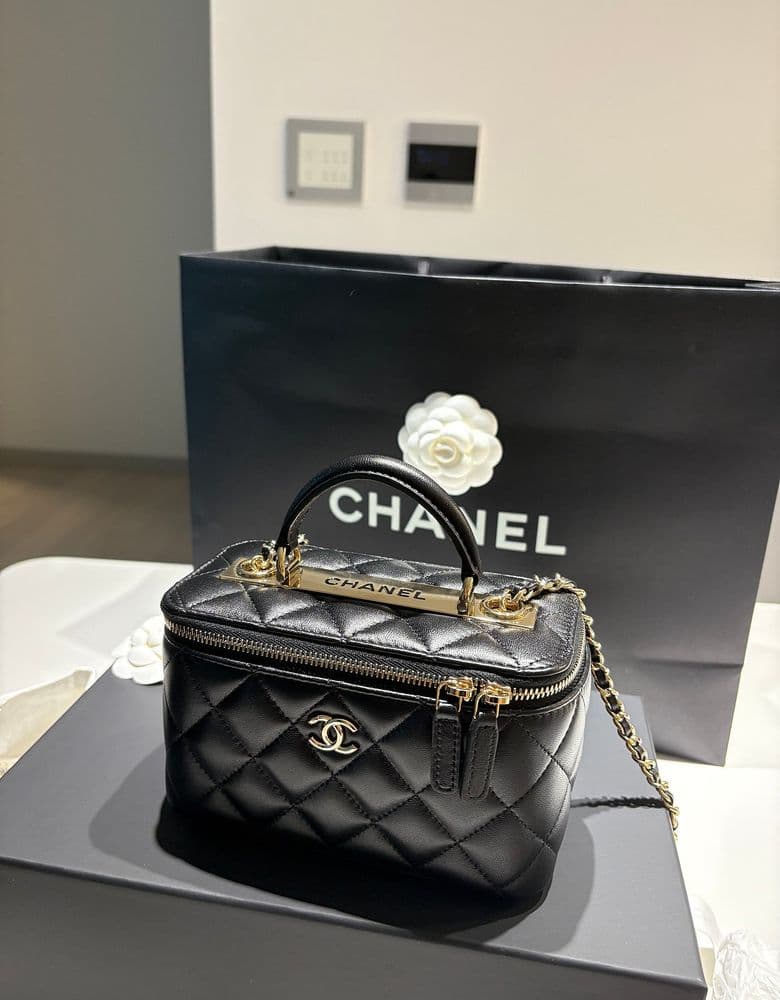 Chanel vanity bag, modeled.