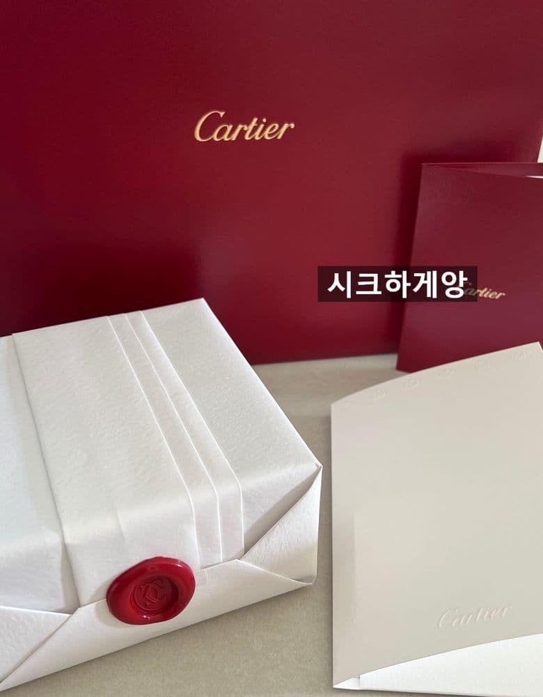 Cartier Love Bracelet, small model