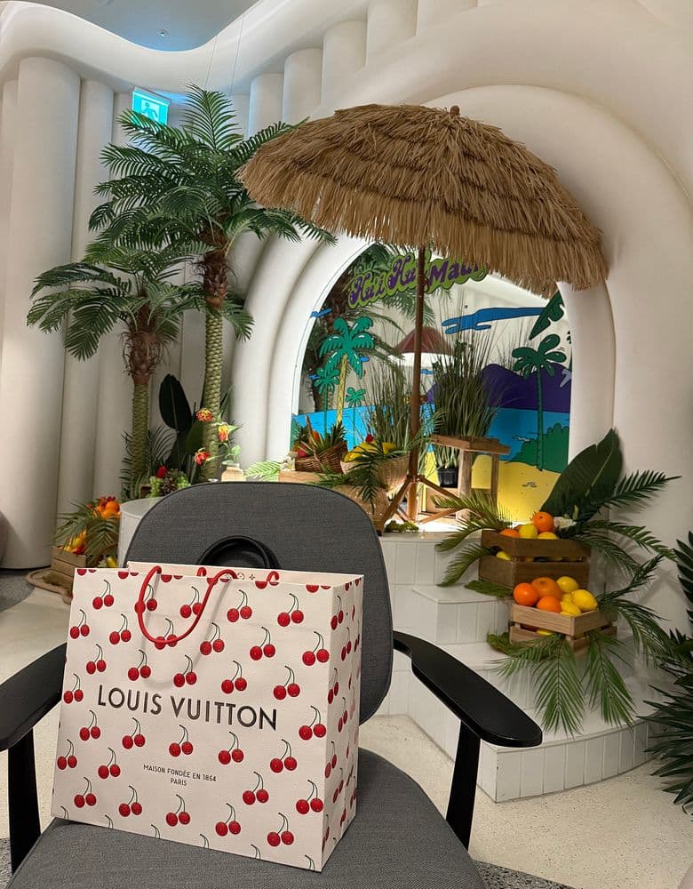 루이비통 올인 bb