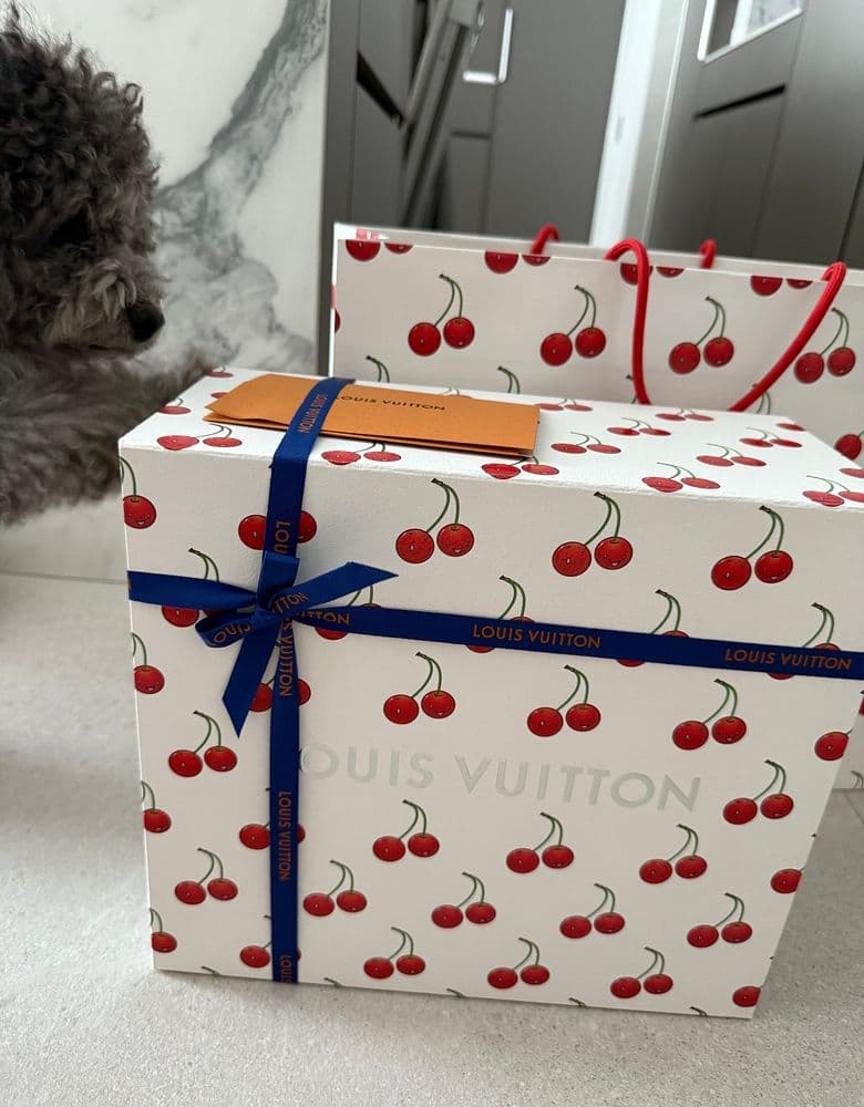 루이비통 올인 bb