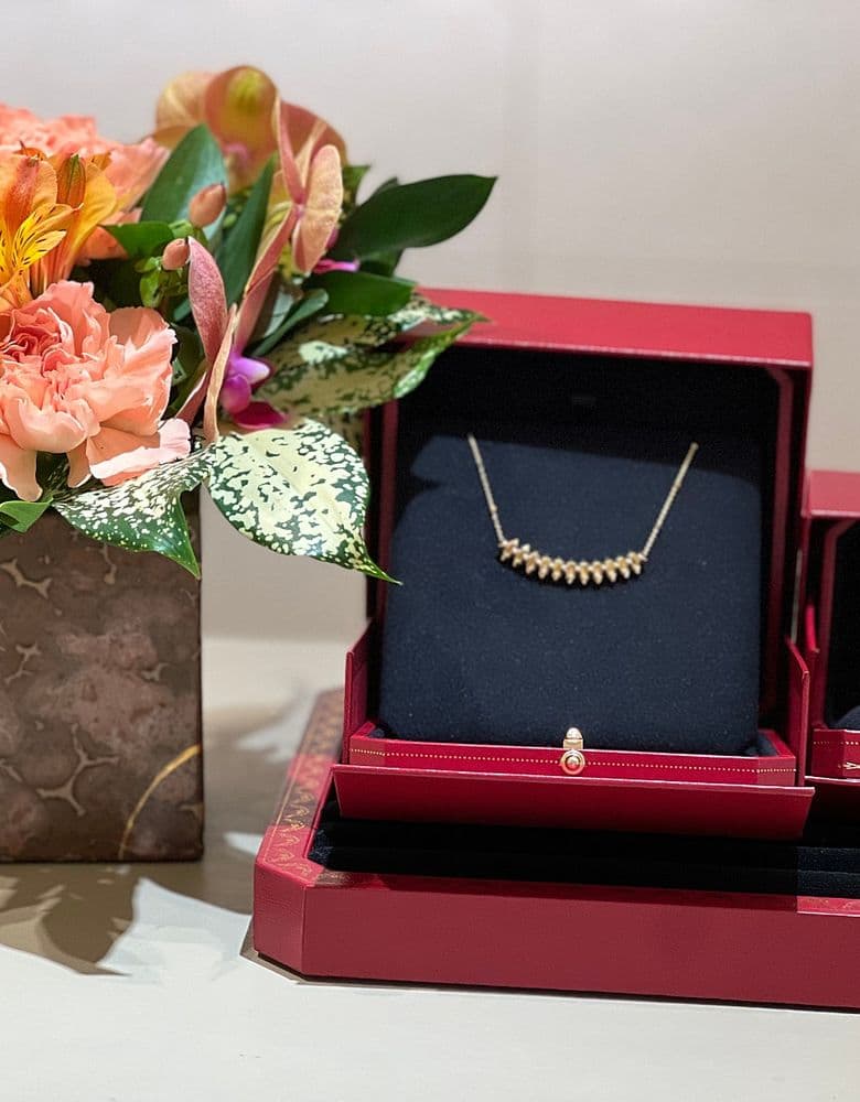 까르티에 클레쉬 목걸이, 반지