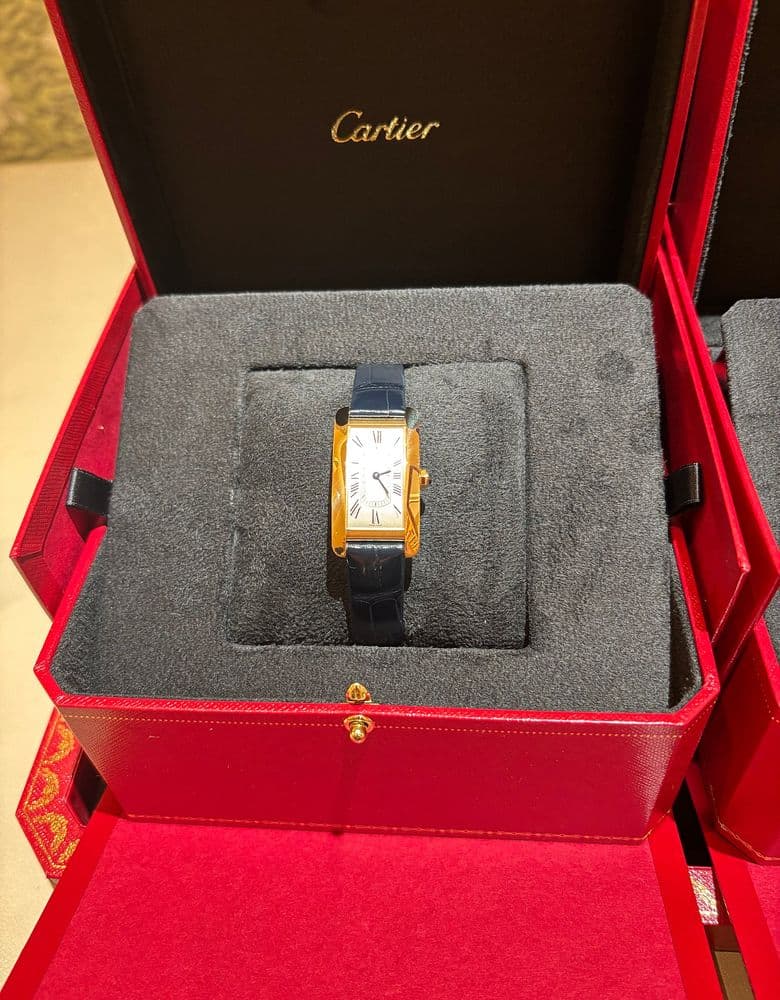 Cartier Tank Américaine Gold Small, Panthère Steel Small
