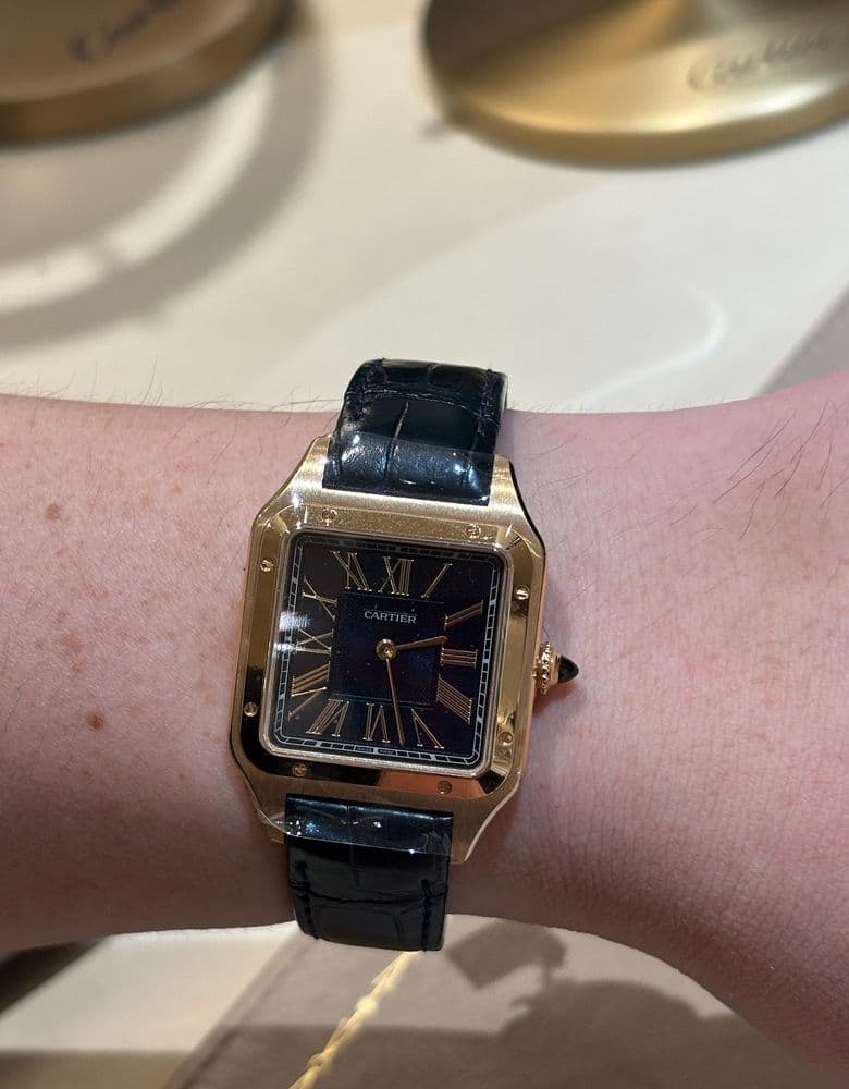 Cartier Tank Américaine Gold Small, Panthère Steel Small