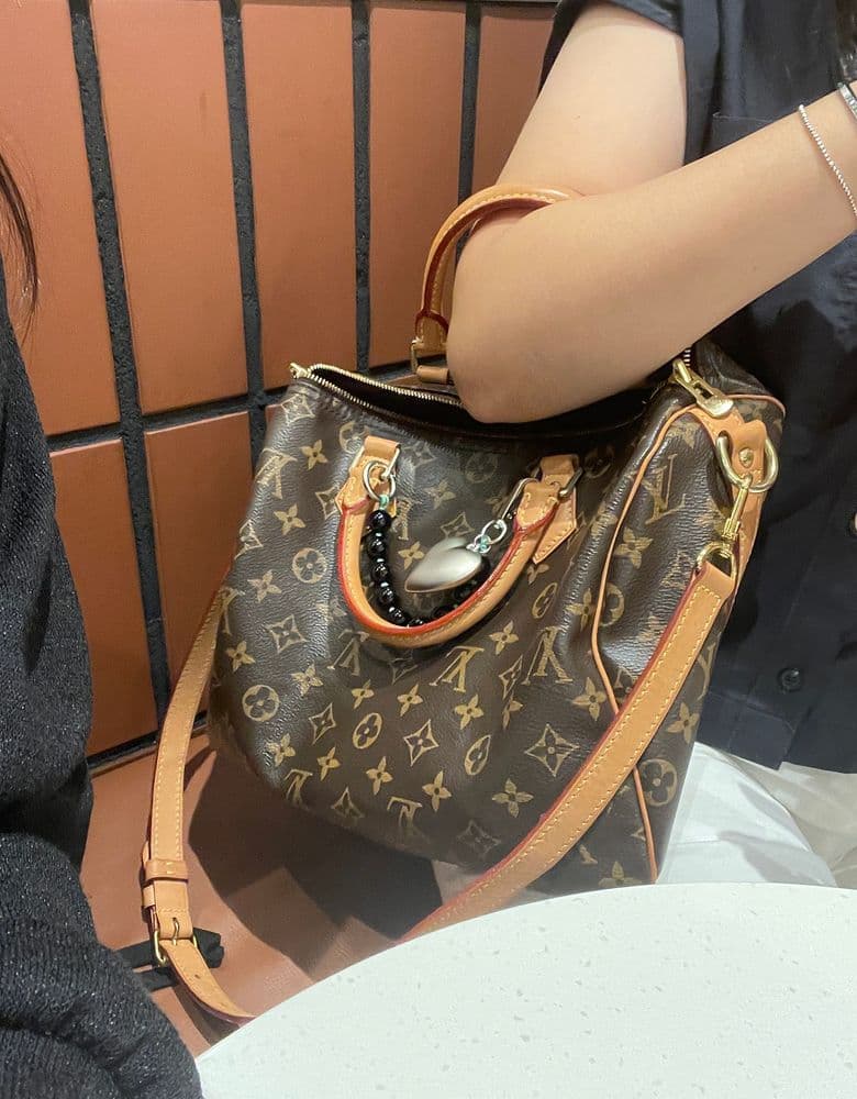Louis Vuitton Speedy