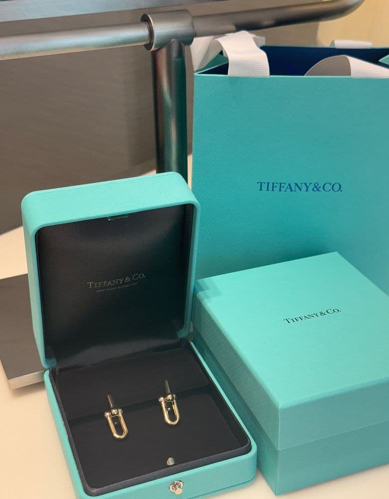 Tiffany Hardware Earrings