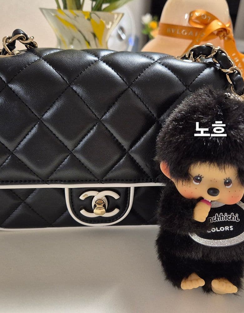 Two-Tone Chanel Mini Flap Bag