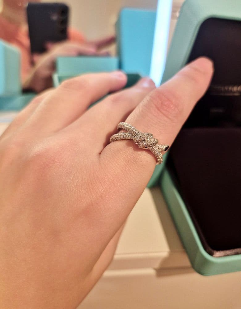 Tiffany Note Double Row Full Pave Ring