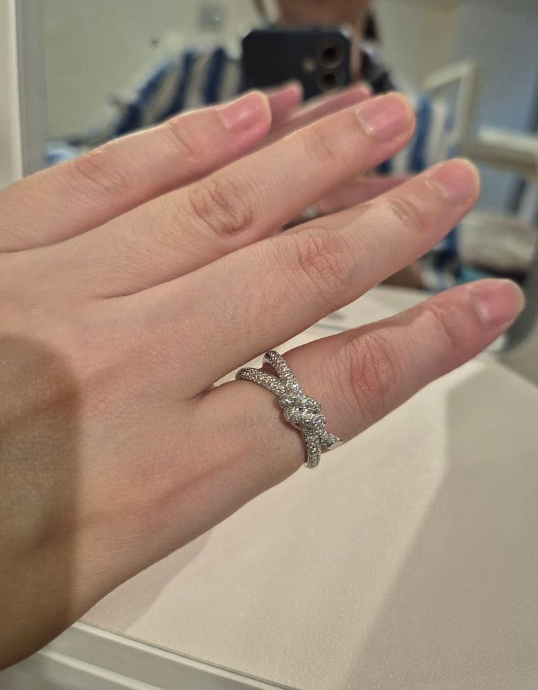 Tiffany Note Double Row Full Pave Ring