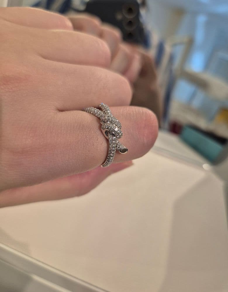 Tiffany Note Double Row Full Pave Ring