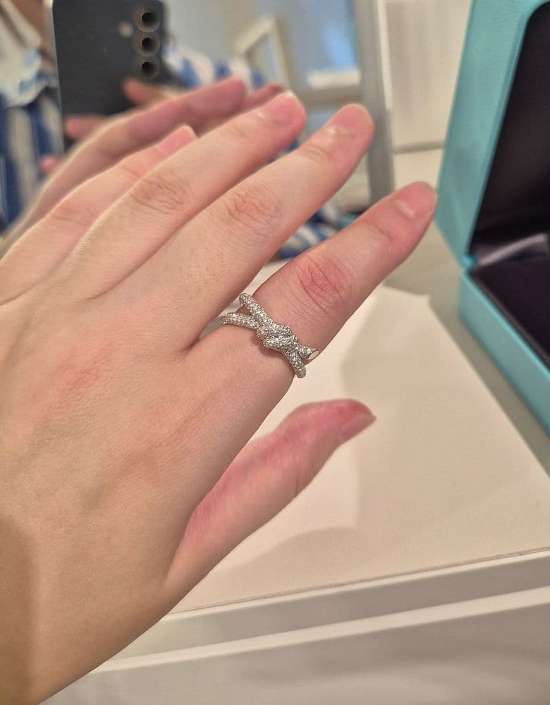 Tiffany Note Double Row Full Pave Ring