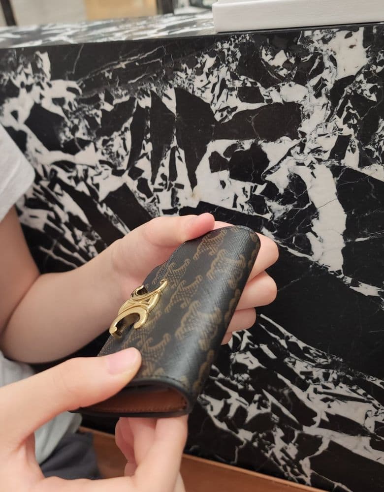 셀린느 트리옹프 플랩 카드 지갑 - 캔버스