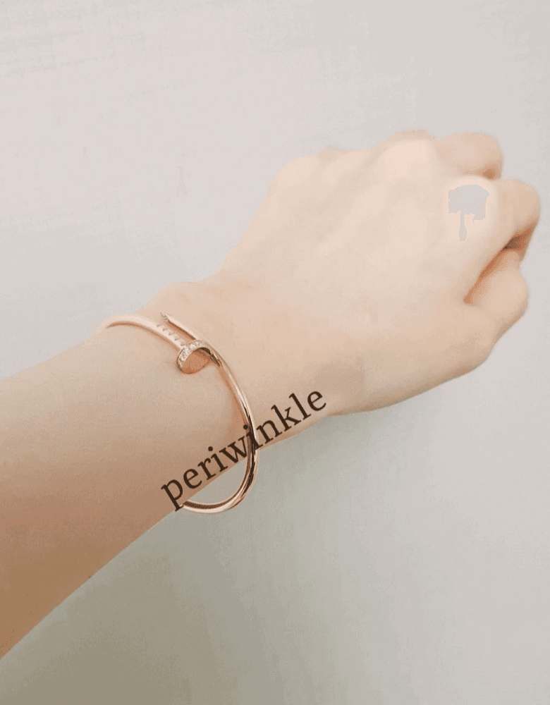 Cartier Juste un Clou bracelet