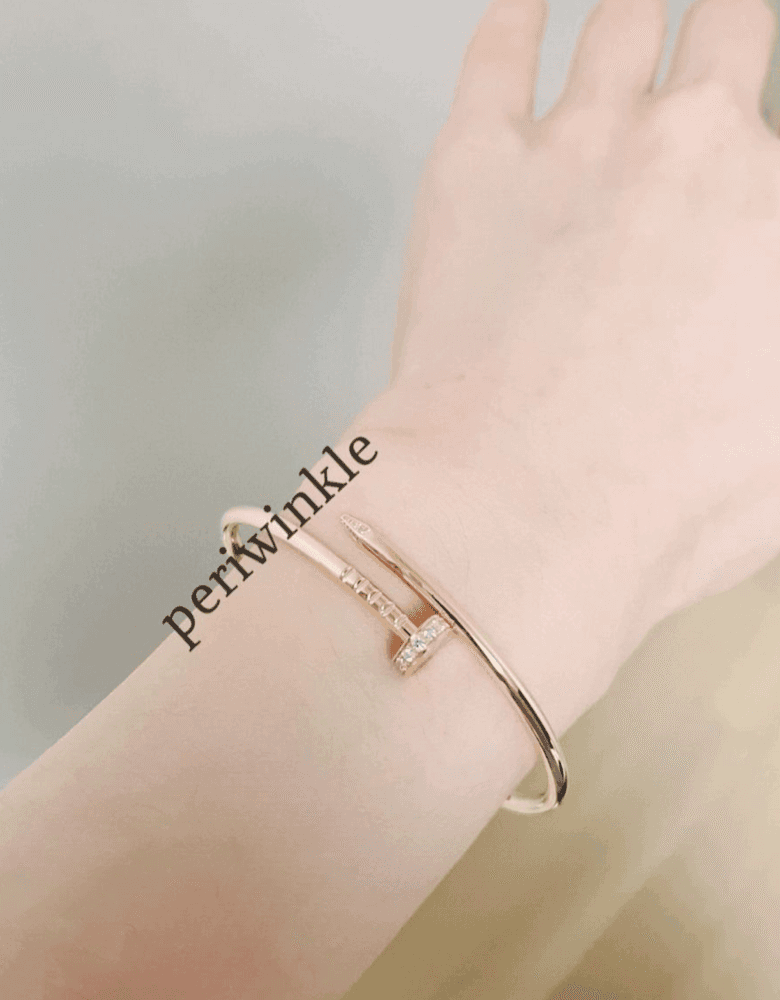 Cartier Juste un Clou bracelet