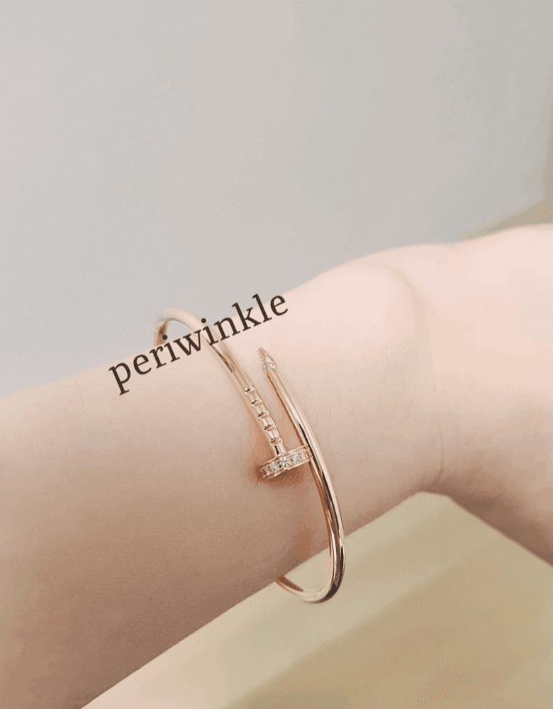 Cartier Juste un Clou bracelet