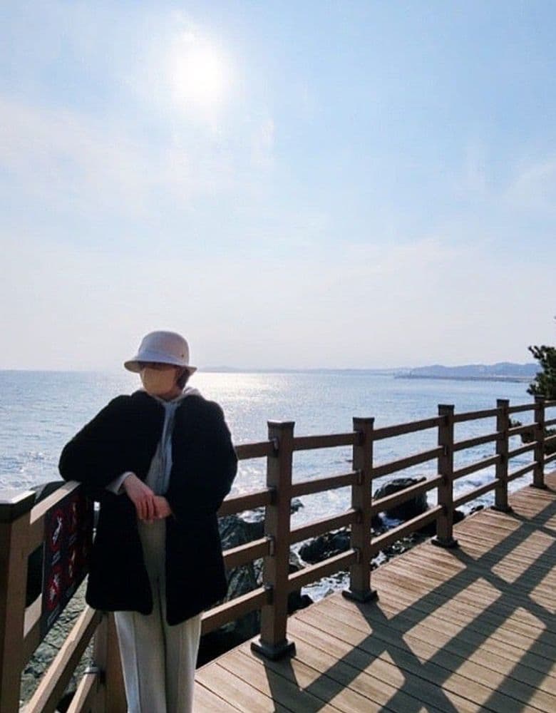 헬렌카민스키 뉴포트, 에타, 베사