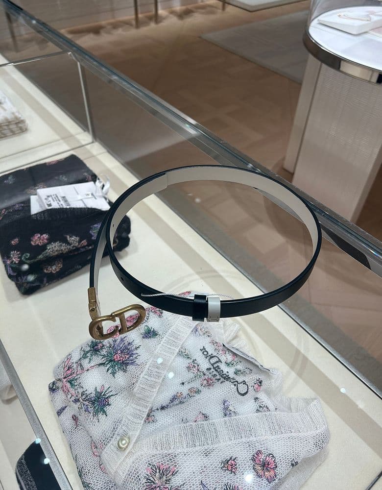 Dior Saddle Reversible Belt: My honest review