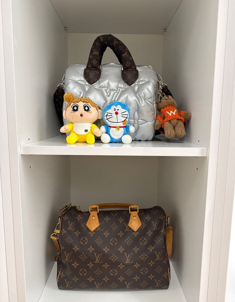 Louis Vuitton bag, backpack