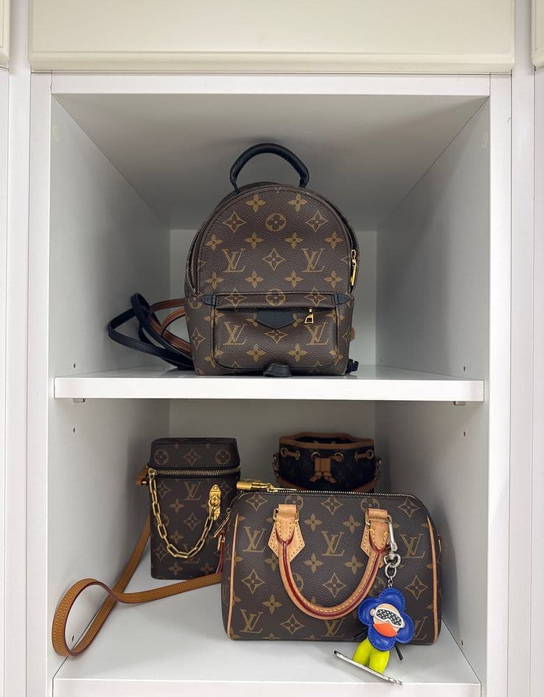 Louis Vuitton bag, backpack