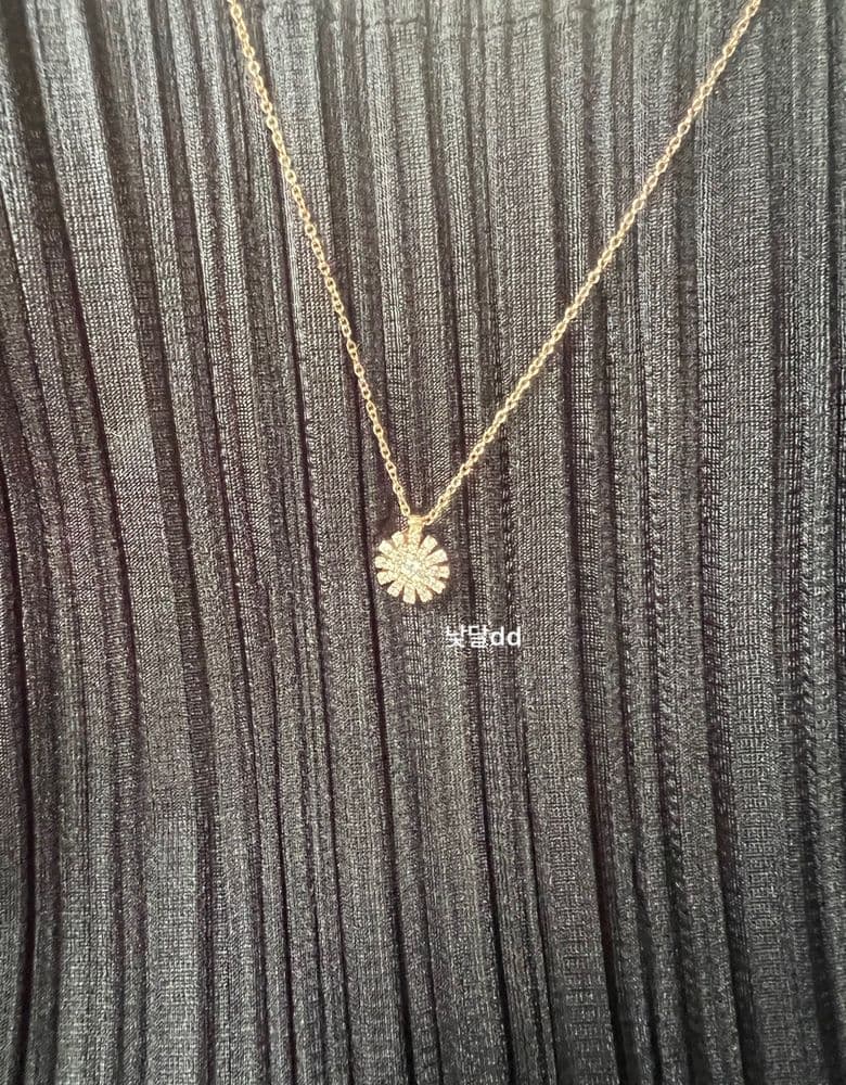 다미아니 마르게리따