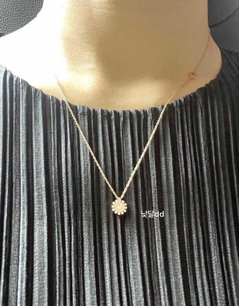 다미아니 마르게리따