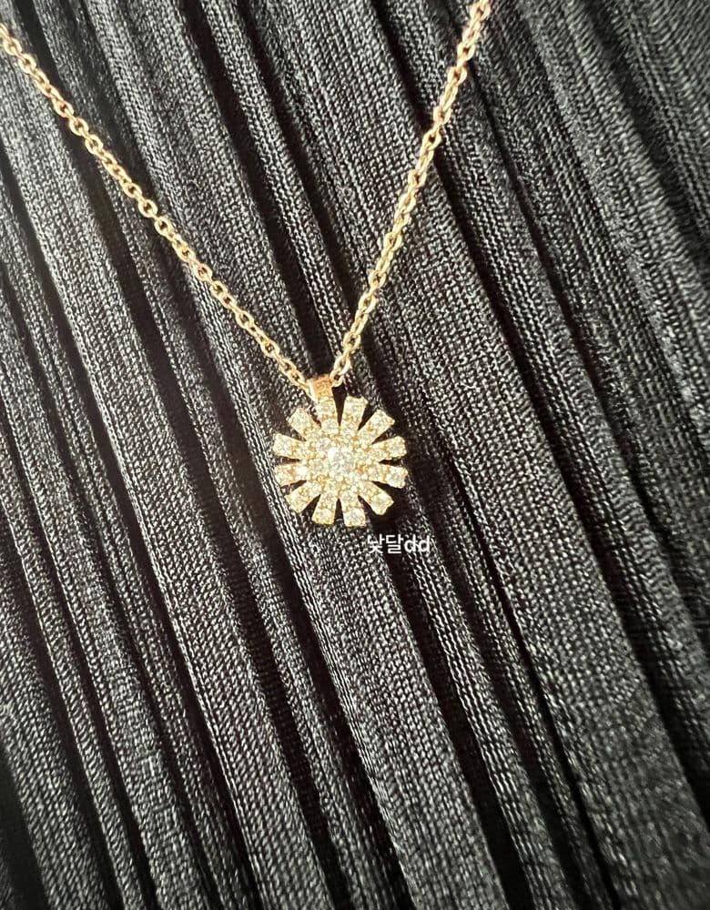 다미아니 마르게리따