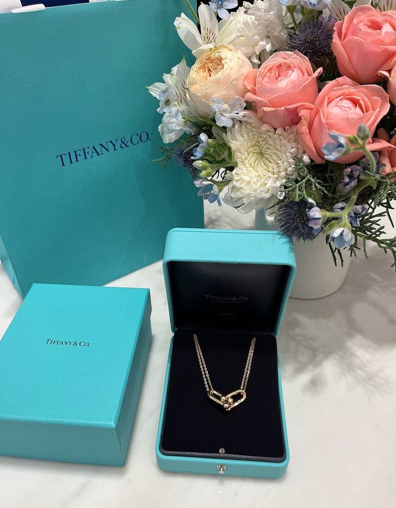 Tiffany Double Large Link Necklace