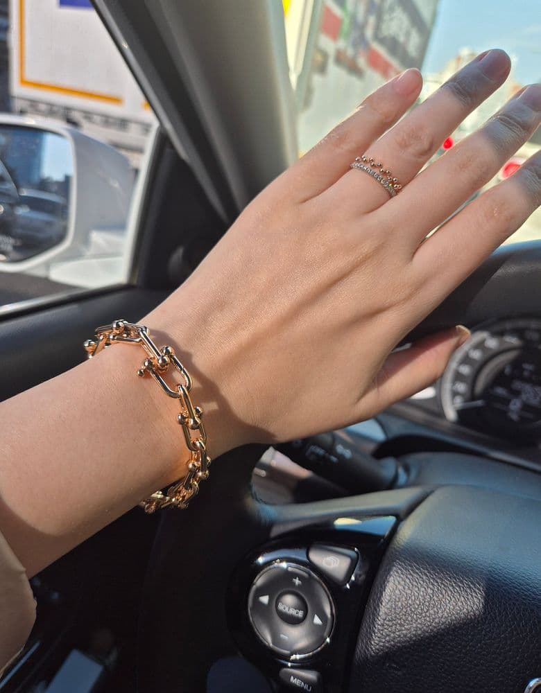 Tiffany HardWear Link Bracelet