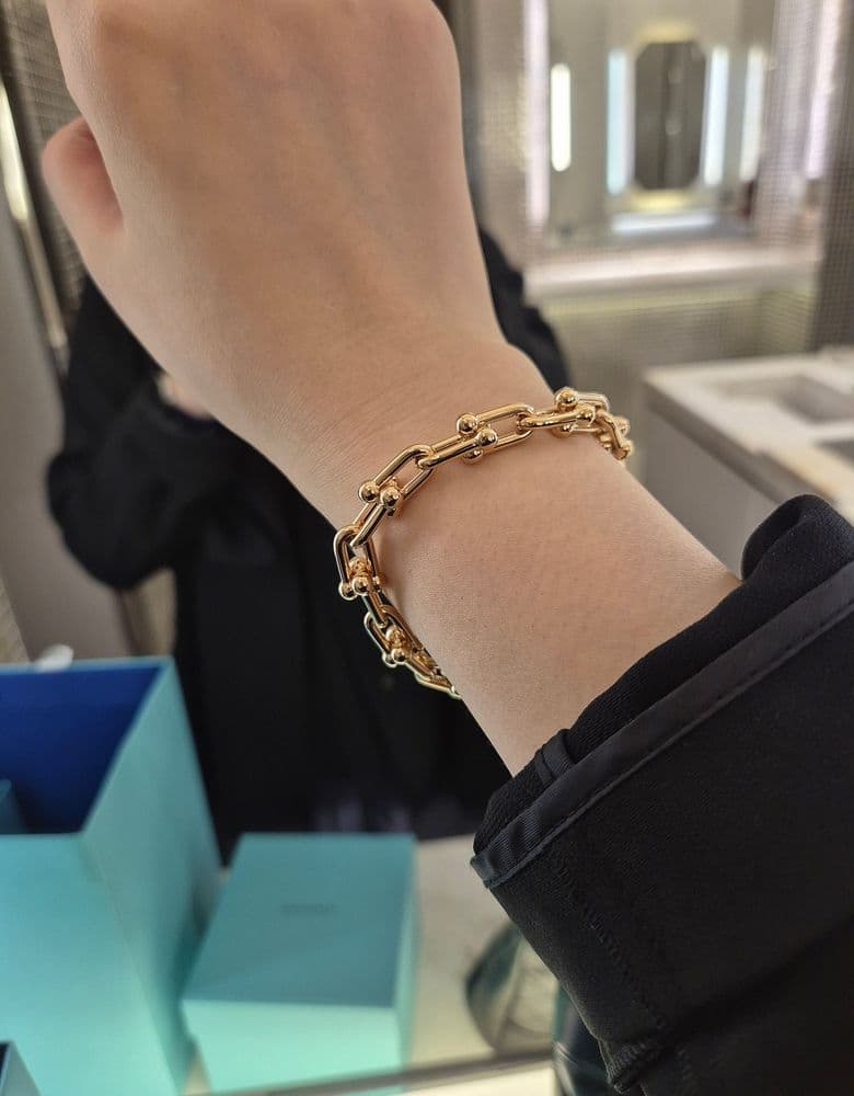 Tiffany HardWear Link Bracelet