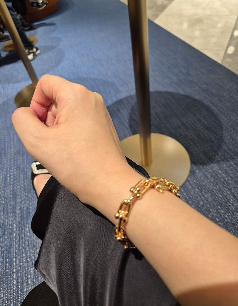 Tiffany HardWear Link Bracelet