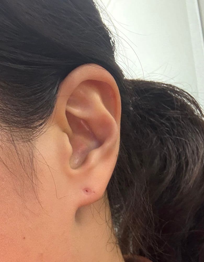 Bvlgari Serpenti Plain Earrings