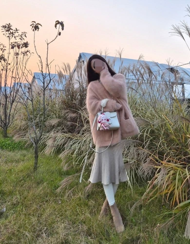 Delvaux Brilliant Mini & Dior Phone Bag