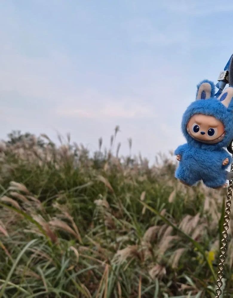 Delvaux Brilliant Mini & Dior Phone Bag