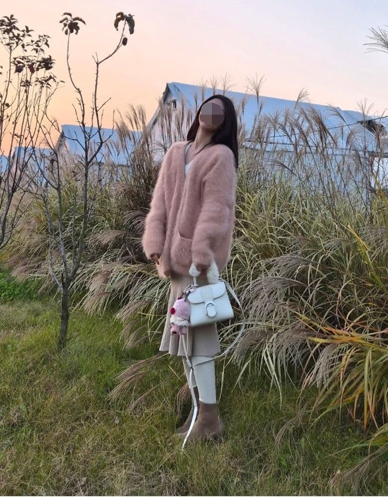 Delvaux Brilliant Mini & Dior Phone Bag