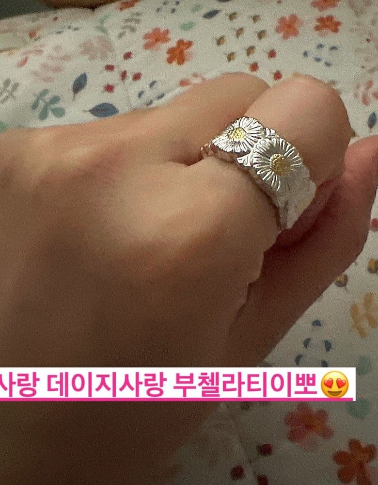 부첼라티 데이지