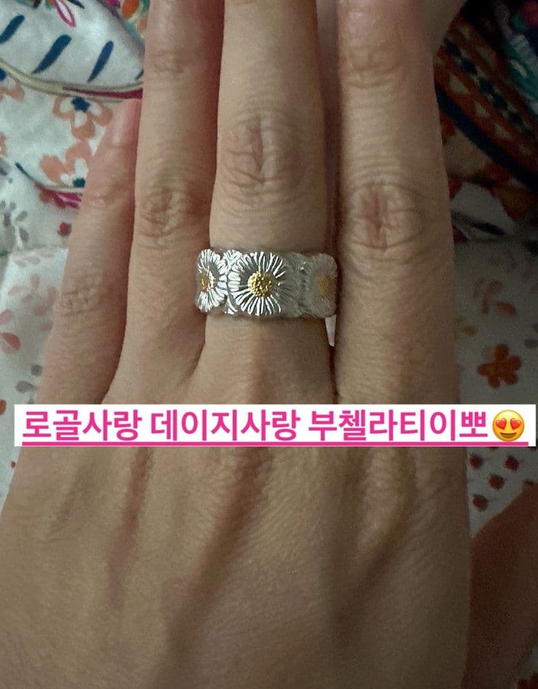 부첼라티 데이지