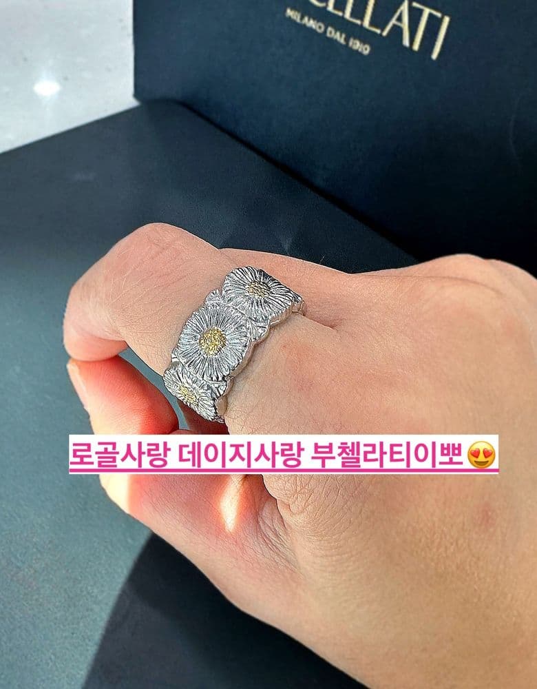 부첼라티 데이지