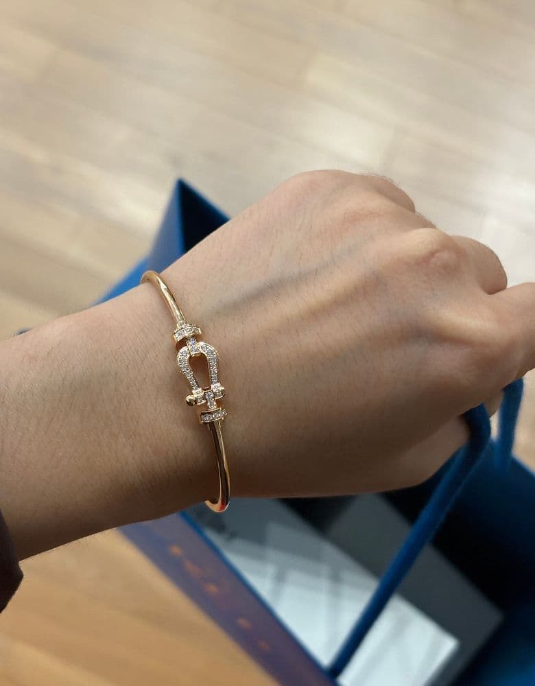 Fred Force 10 Bangle Full Pave