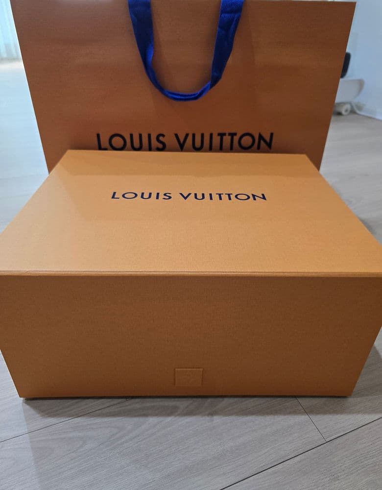 Louis Vuitton Fox bag