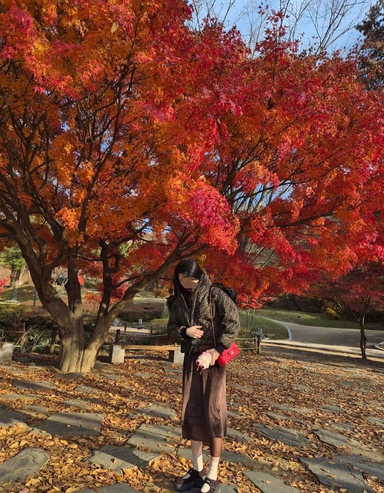 Delvaux Brilliant in various colors: a style showcase & a glimpse of Chanel's iconic red bag.