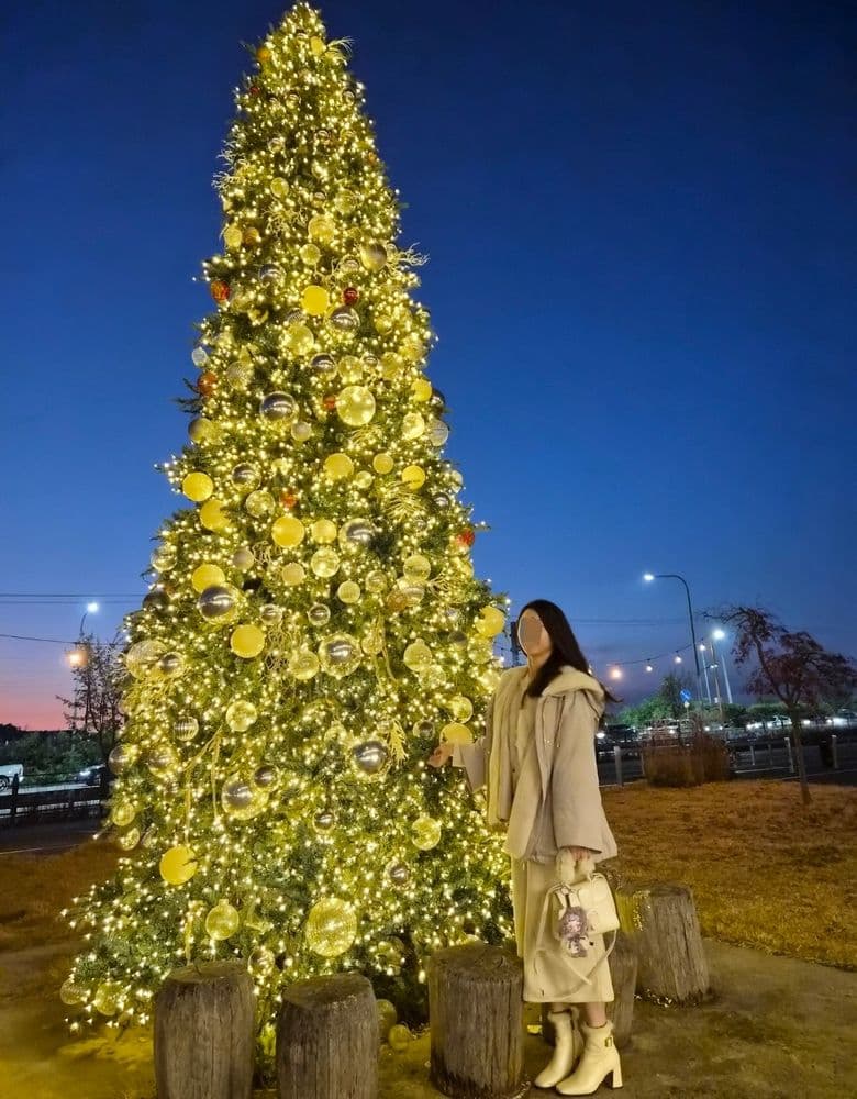 Delvaux Brilliant in various colors: a style showcase & a glimpse of Chanel's iconic red bag.