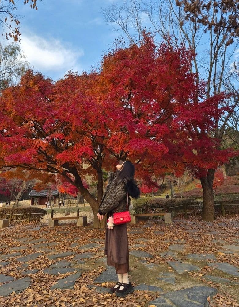 Delvaux Brilliant in various colors: a style showcase & a glimpse of Chanel's iconic red bag.