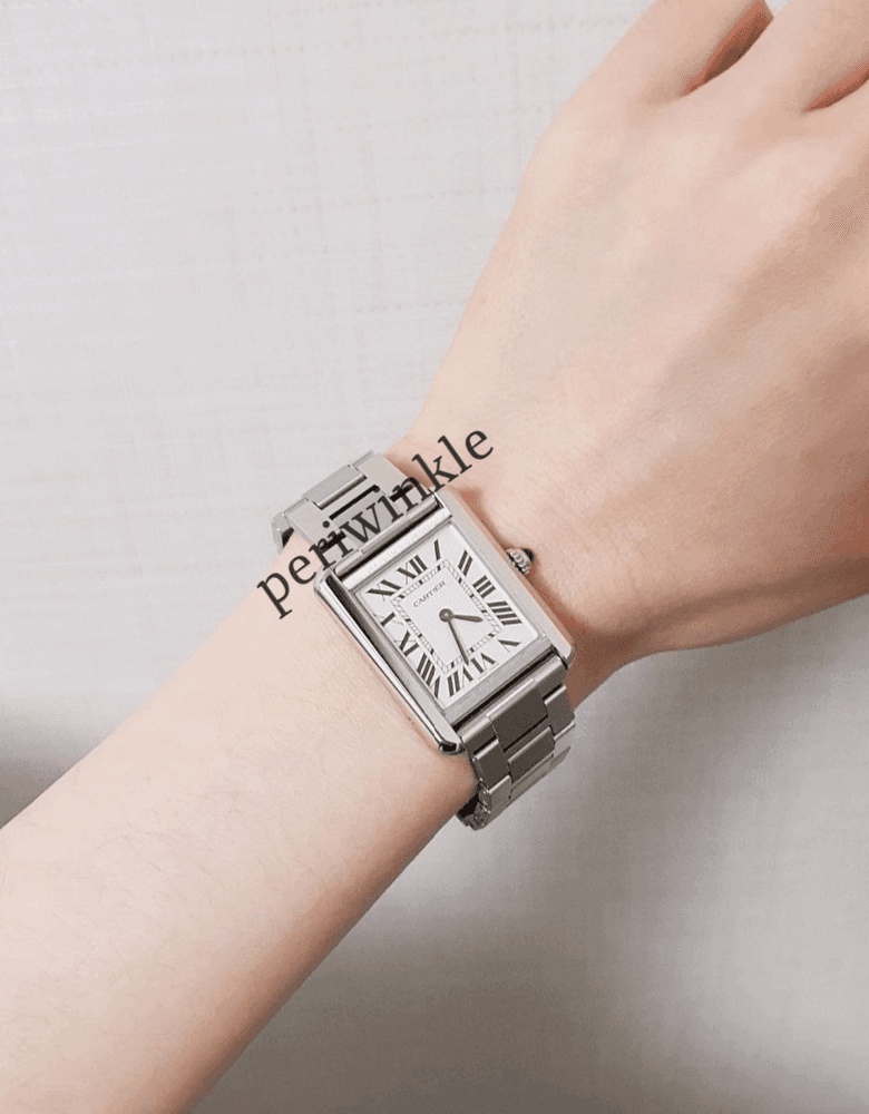 까르띠에 탱크솔로