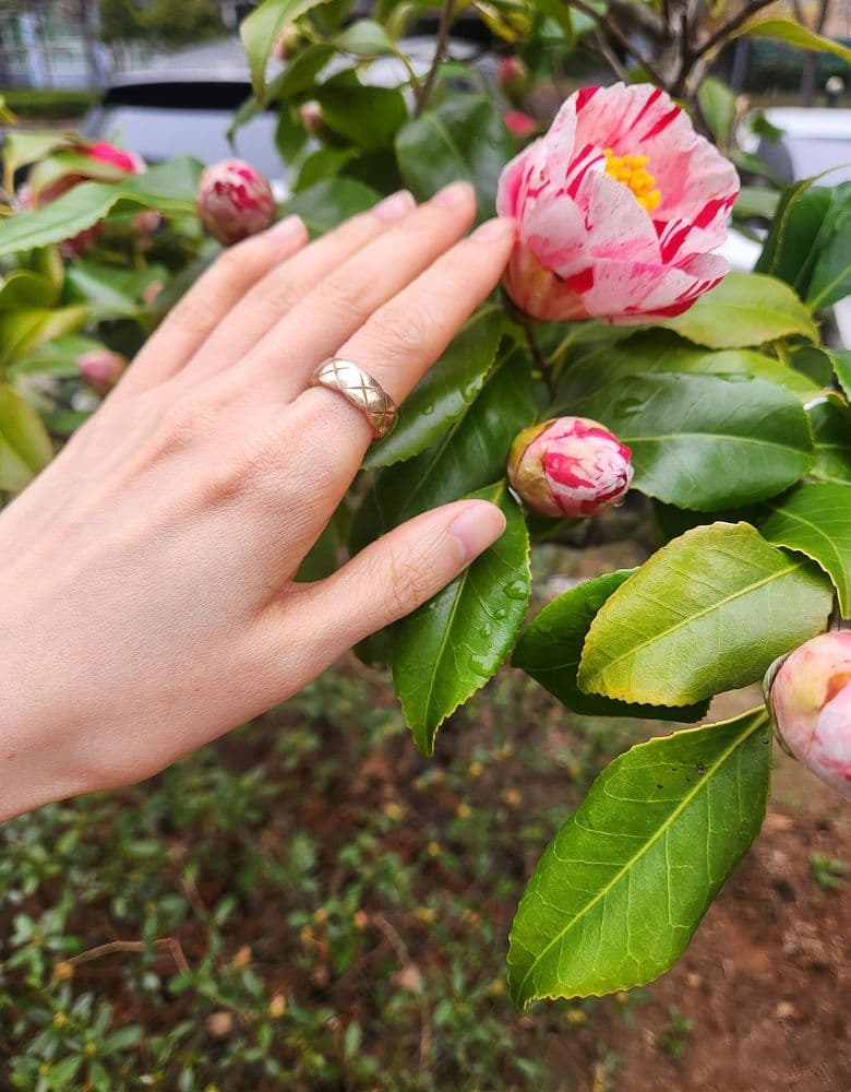 샤넬 코코크러쉬 링 스몰 & 미니 사이즈