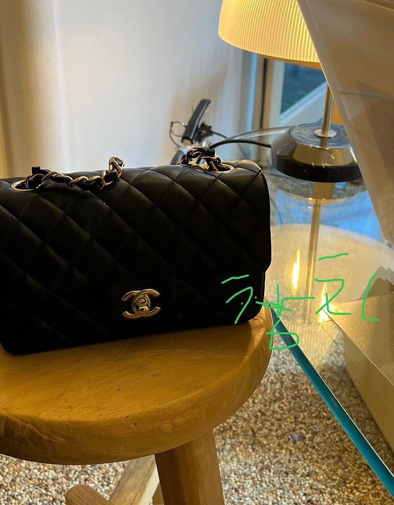 Chanel Classic New Mini Flap Bag