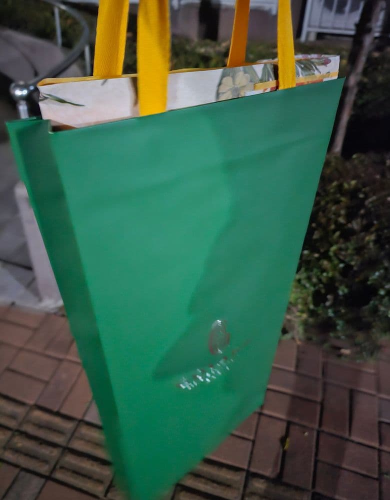 Goyard Saint Louis Green