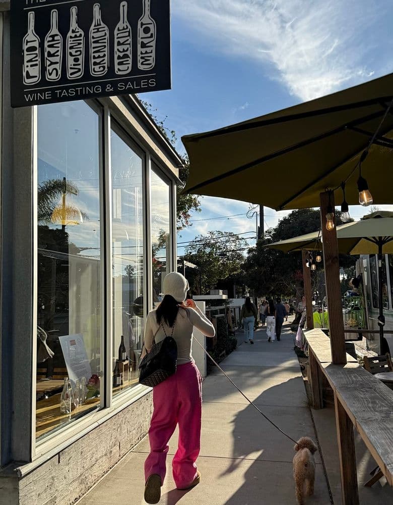 Chanel Travel Classic