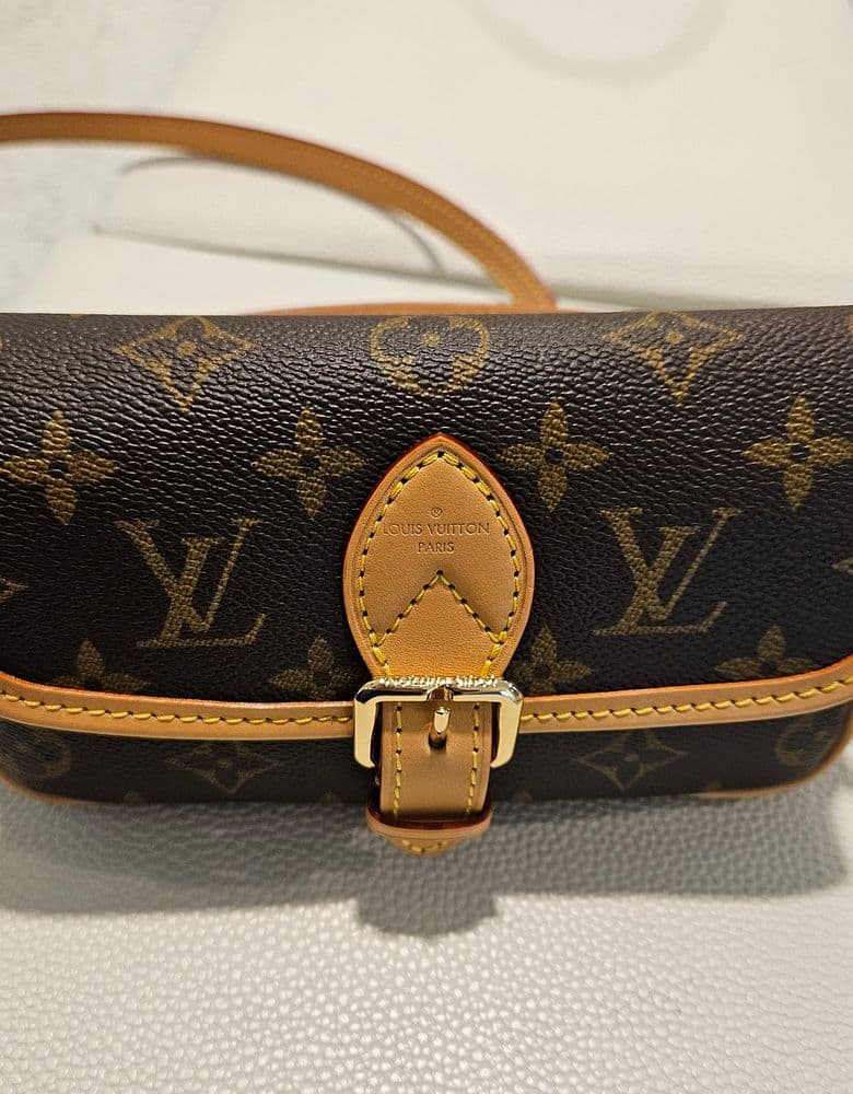 Louis Vuitton Nano Diane